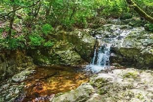 Outdoor Pictures 15