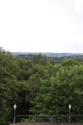 Outdoor Pictures 5