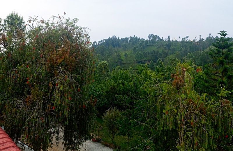 Pear Tree Inn Villa Kotagiri