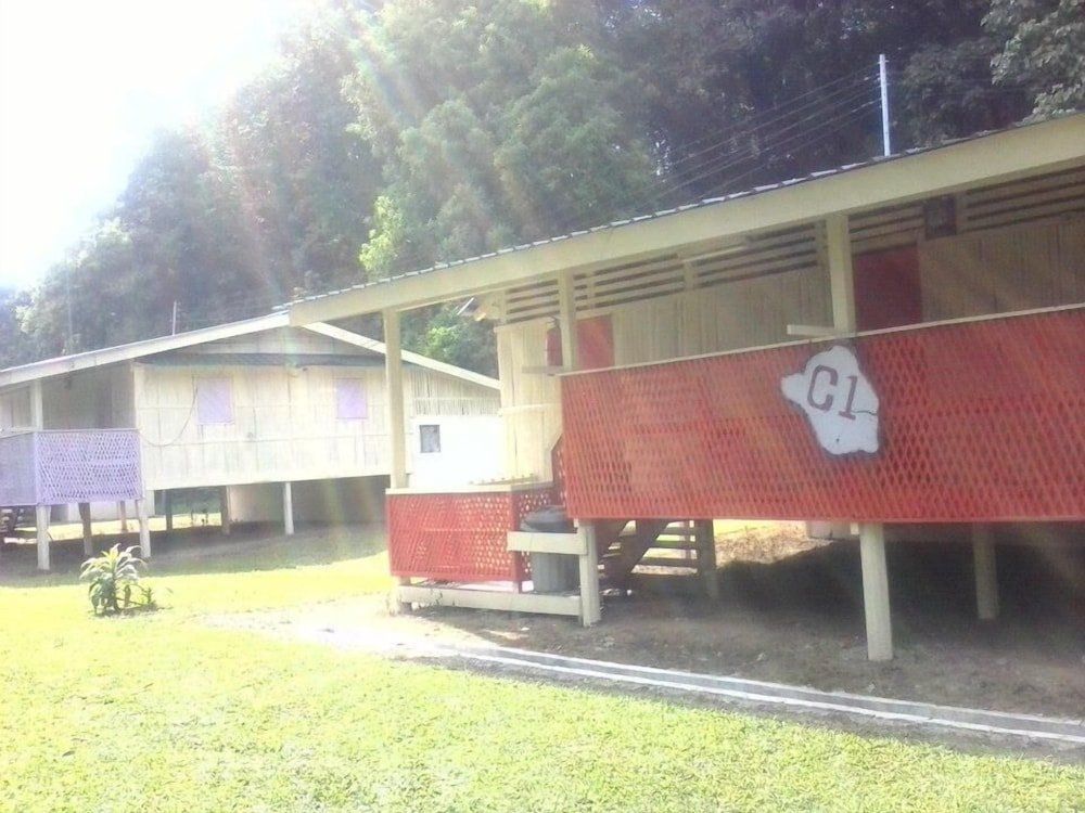 Outdoor Pictures 4