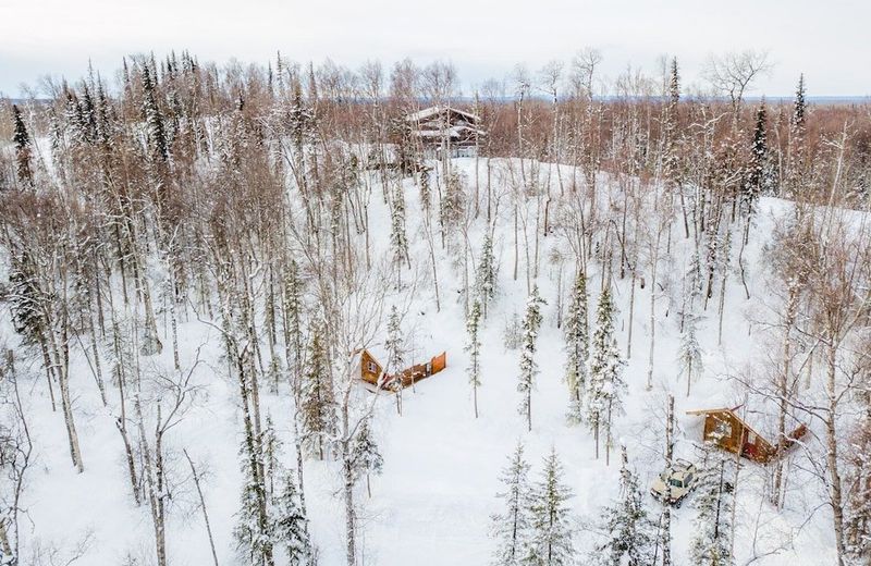 Birch Cabin