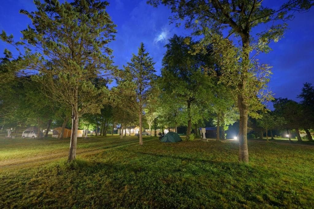 FUTURE IS NATURE PLAYGROUND