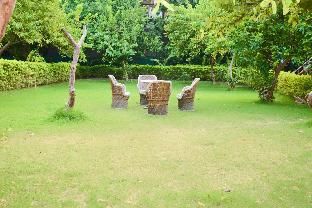 Outdoor Pictures 17