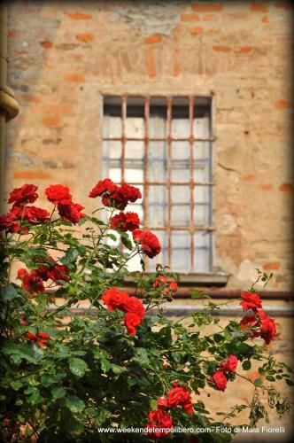 Outdoor Pictures 13