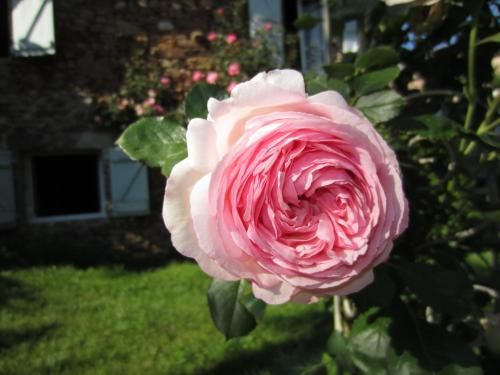 Outdoor Pictures 21