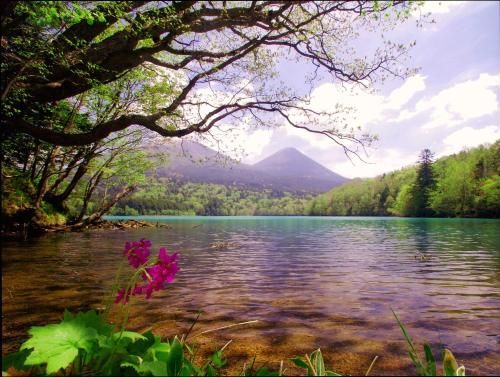 Outdoor Pictures 4
