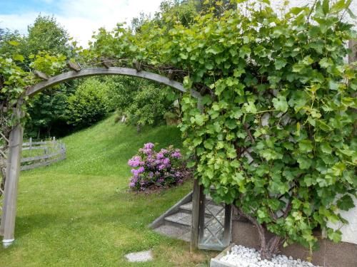 Outdoor Pictures 7