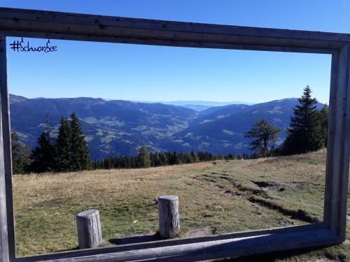 Outdoor Pictures 11