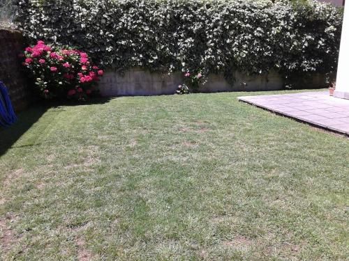 Outdoor Pictures 24