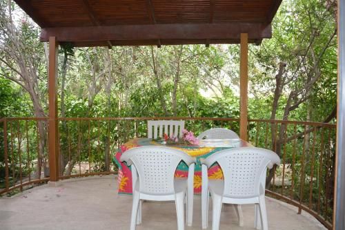 Outdoor Pictures 15
