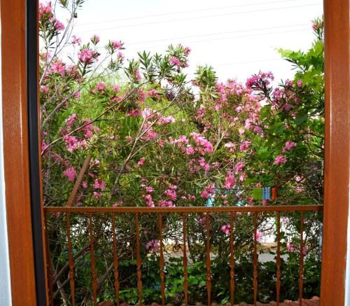 Outdoor Pictures 2