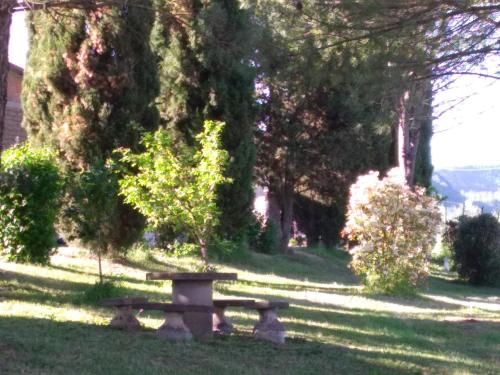 Outdoor Pictures 7