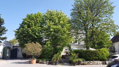 Outdoor Pictures 20