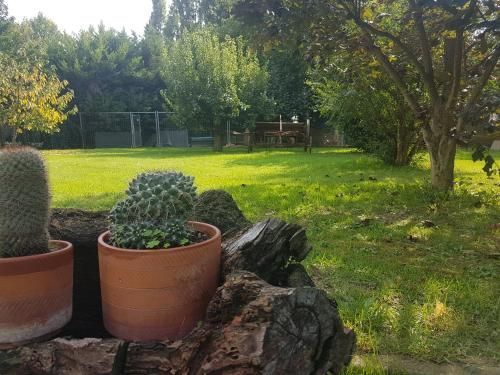 Outdoor Pictures 9