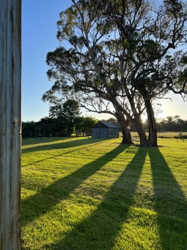 Outdoor Pictures 16