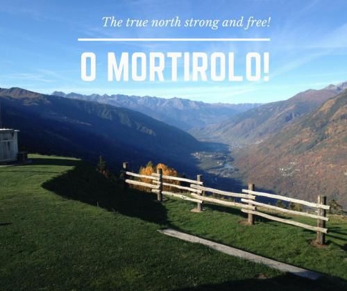 Holiday Creek Mortirolo