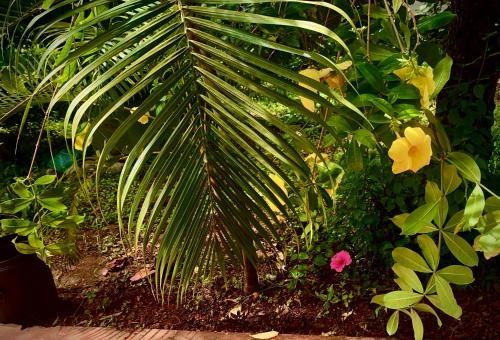 Outdoor Pictures 15