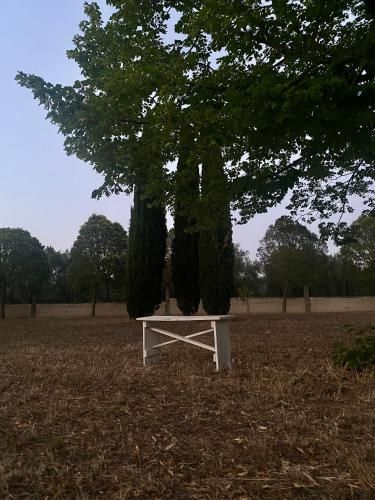 Outdoor Pictures 9
