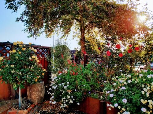 Outdoor Pictures 10