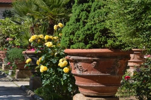 Outdoor Pictures 7