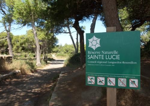 Le bruit des vagues