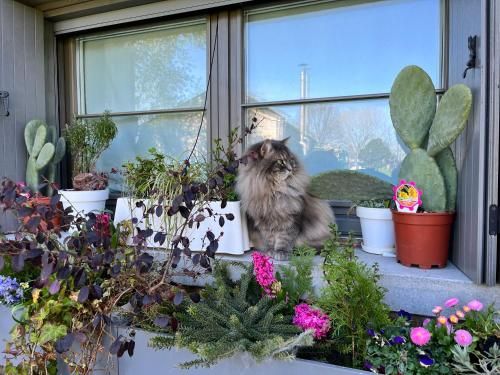 Outdoor Pictures 24