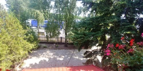 Outdoor Pictures 21