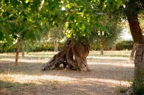 Outdoor Pictures 24