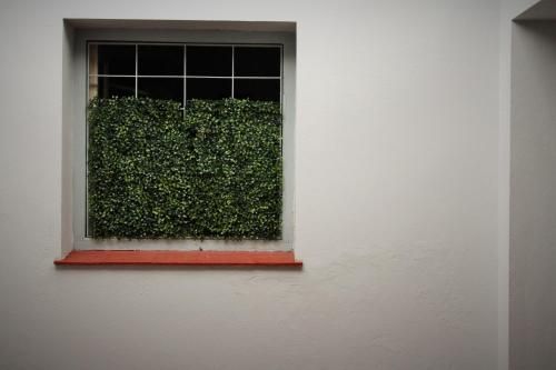 Outdoor Pictures 23