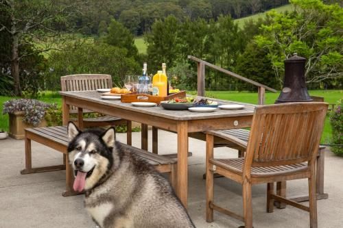 Outdoor Pictures 10