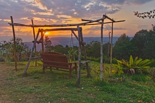 Outdoor Pictures 21