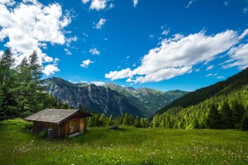 Outdoor Pictures 11