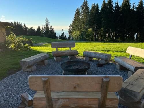 Outdoor Pictures 17