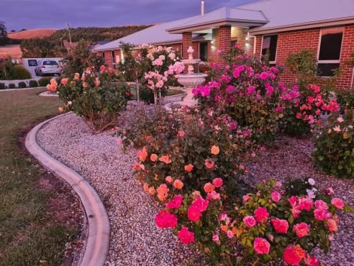 Outdoor Pictures 15