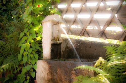 Outdoor Pictures 8