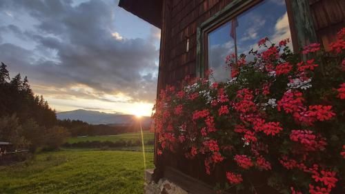 Outdoor Pictures 14