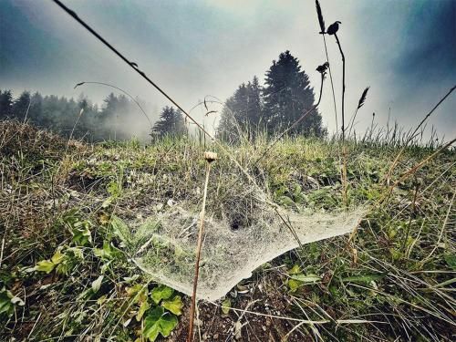 Outdoor Pictures 7