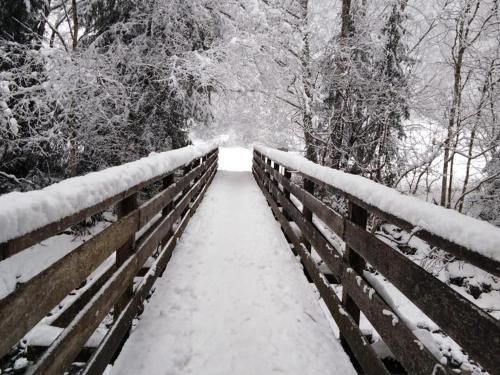 Outdoor Pictures 11