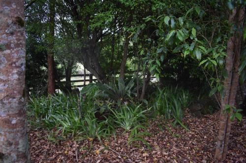 Outdoor Pictures 21