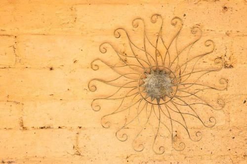 Outdoor Pictures 15