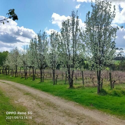 Gypsy Creek Winery