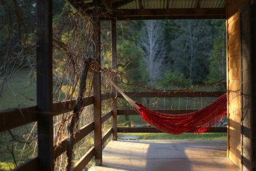 Outdoor Pictures 3