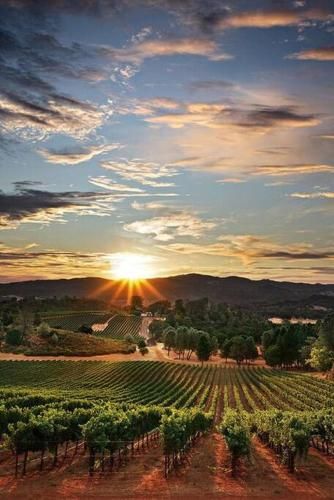 Outdoor Pictures 15