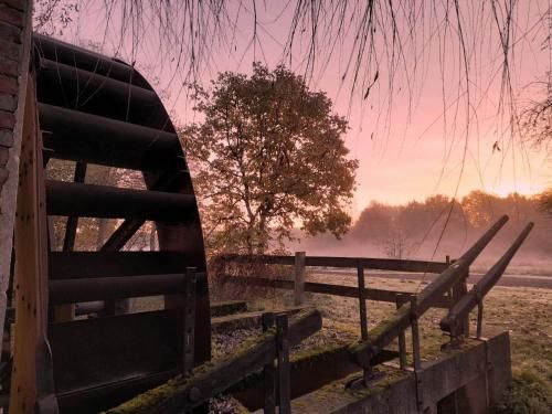 Outdoor Pictures 5