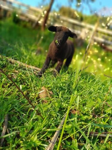 Outdoor Pictures 16