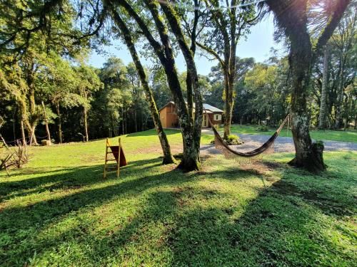 Outdoor Pictures 7