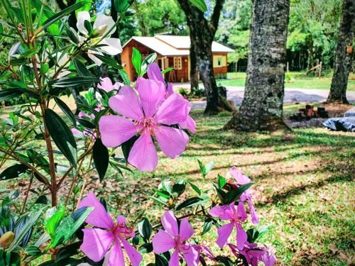 Outdoor Pictures 24