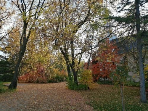 Outdoor Pictures 7