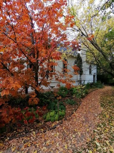 Outdoor Pictures 8