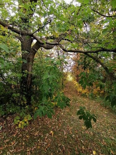 Outdoor Pictures 9
